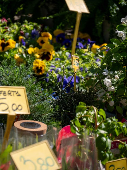 A vibrant display of fresh flowers including yellow pansies, purple violets, and white flowering branches arranged in small pots and vases at a floral market stall. The flowers are densely packed, sho