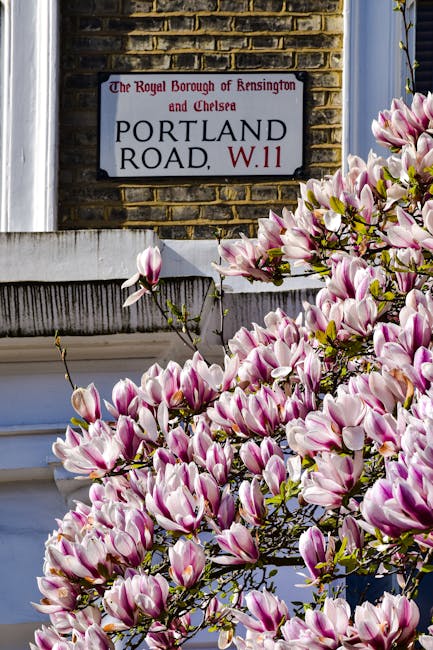A vibrant bouquet of pink and white magnolia blossoms is in full bloom, with petals displaying a smooth, glossy texture and soft pink streaks along the edges. The flowers are densely clustered on dark